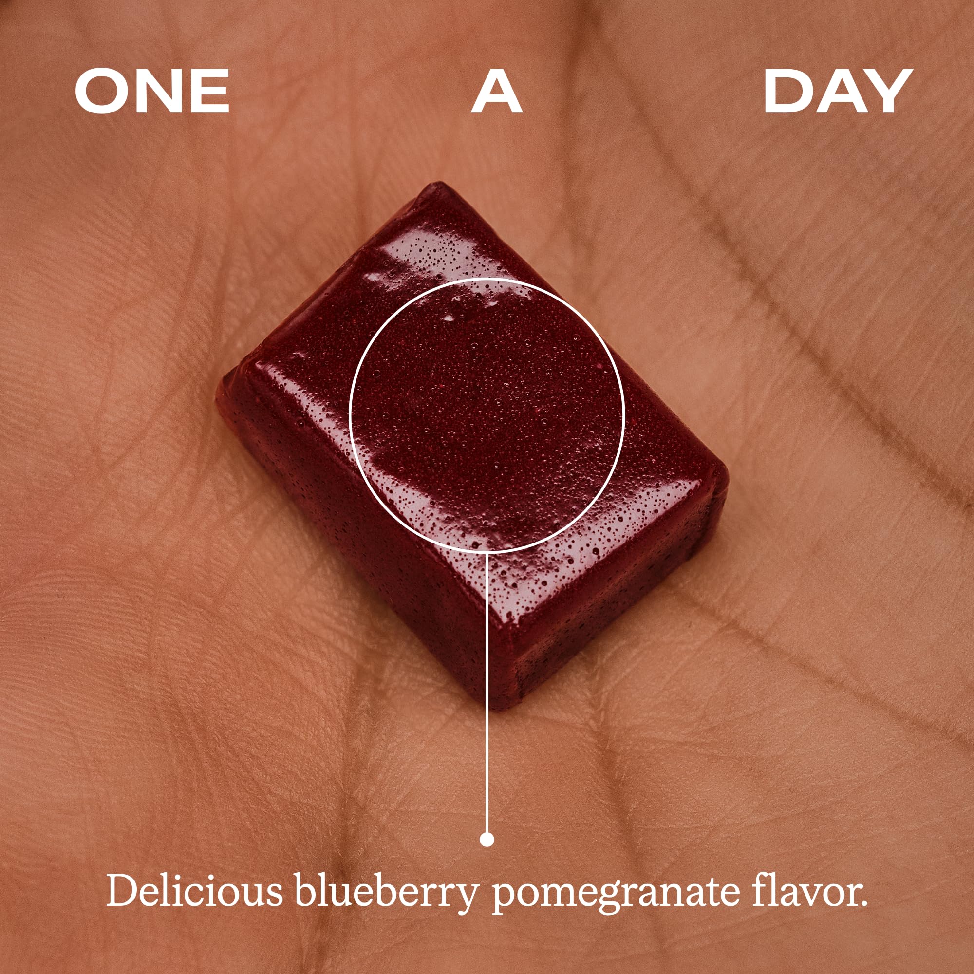 Humann Memory and Focus Chews ingredient label close-up, beet root powder and resveratrol.