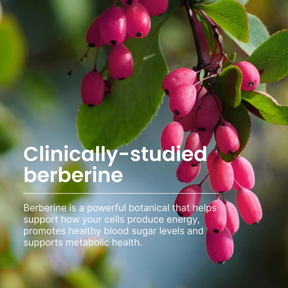 Humann SuperBerine plant-based formulation with vegan capsules for mindful supplementation