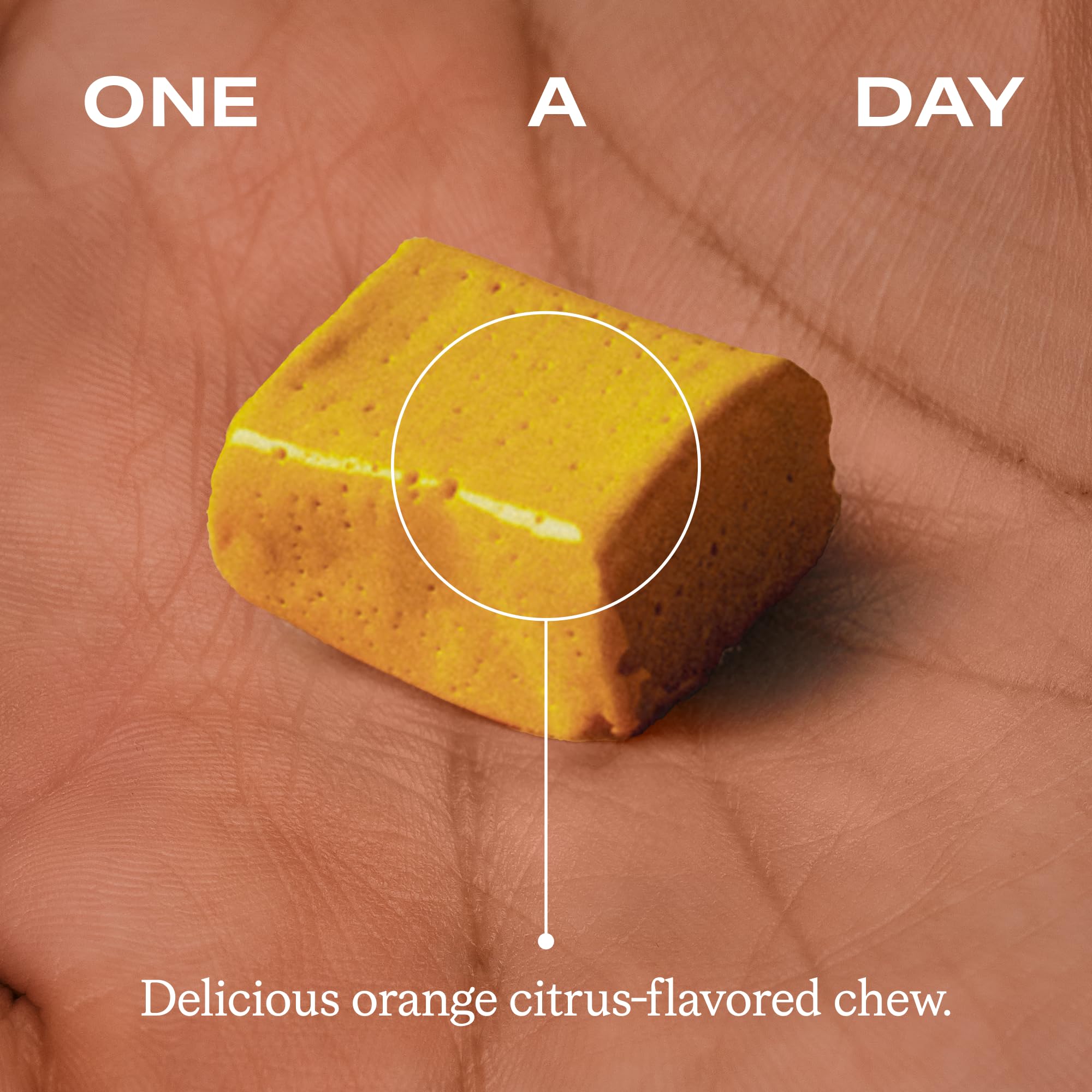 Package graphic highlights 24x higher absorption compared to conventional turmeric.