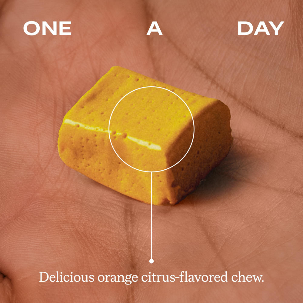 Package graphic highlights 24x higher absorption compared to conventional turmeric.