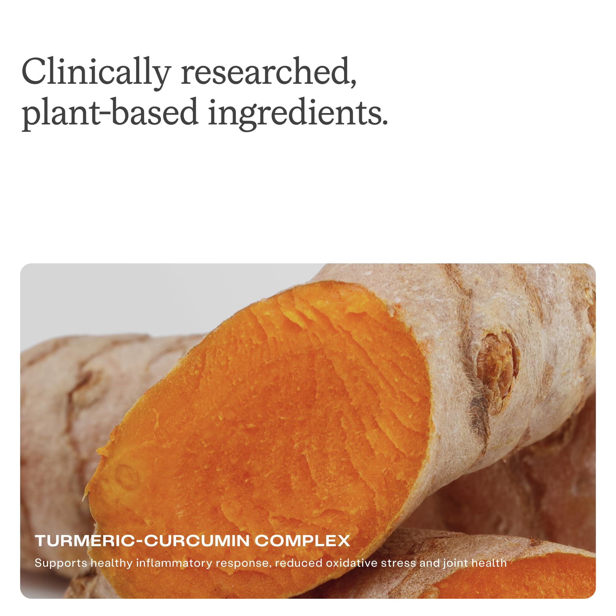 Humann Turmeric Chews jar hero image suggests convenient daily routine.