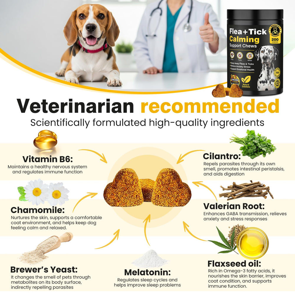 Hyjykd chewables for dogs providing sleep support after exciting activity
