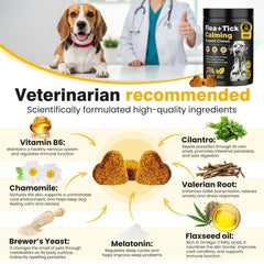 Hyjykd chewables for dogs providing sleep support after exciting activity