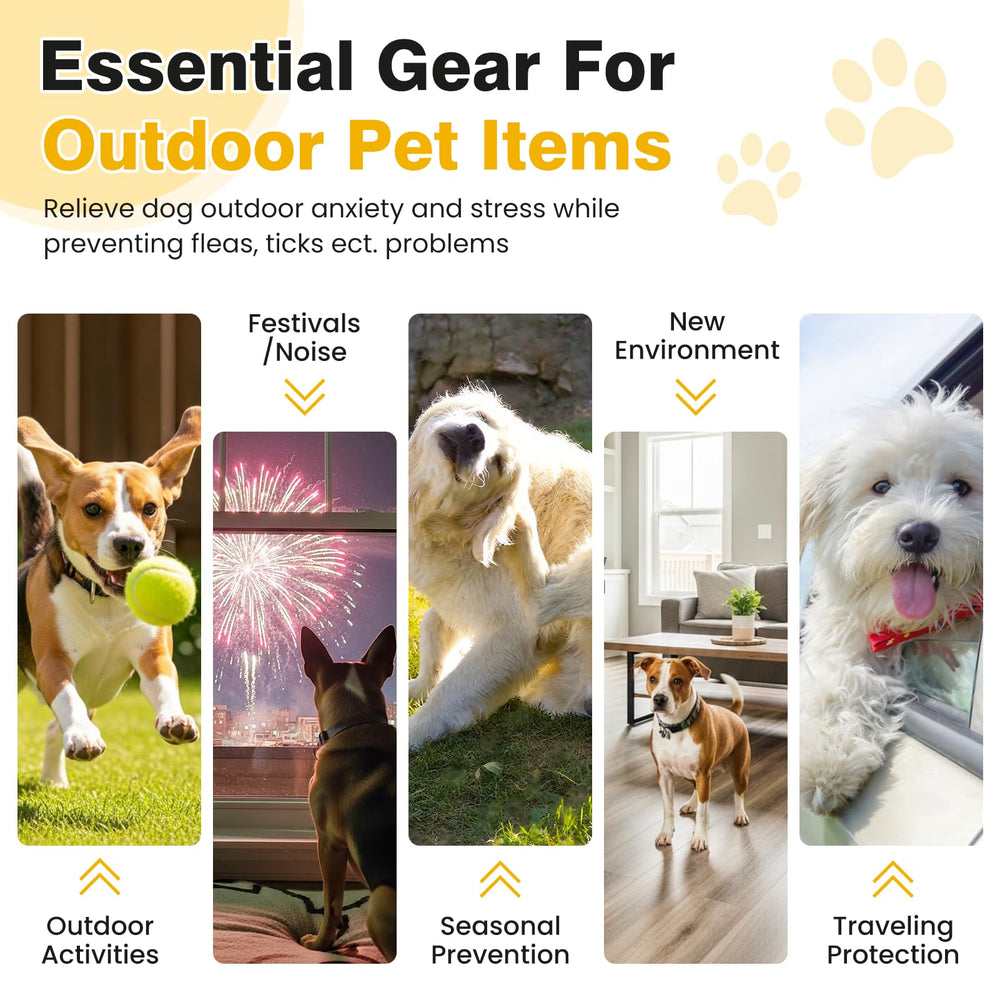 Hyjykd chewables support healthy coat and skin during flea season