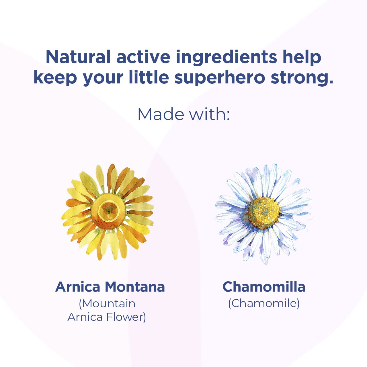 Hyland's Chamomilla tablets with dosing steps for caregivers