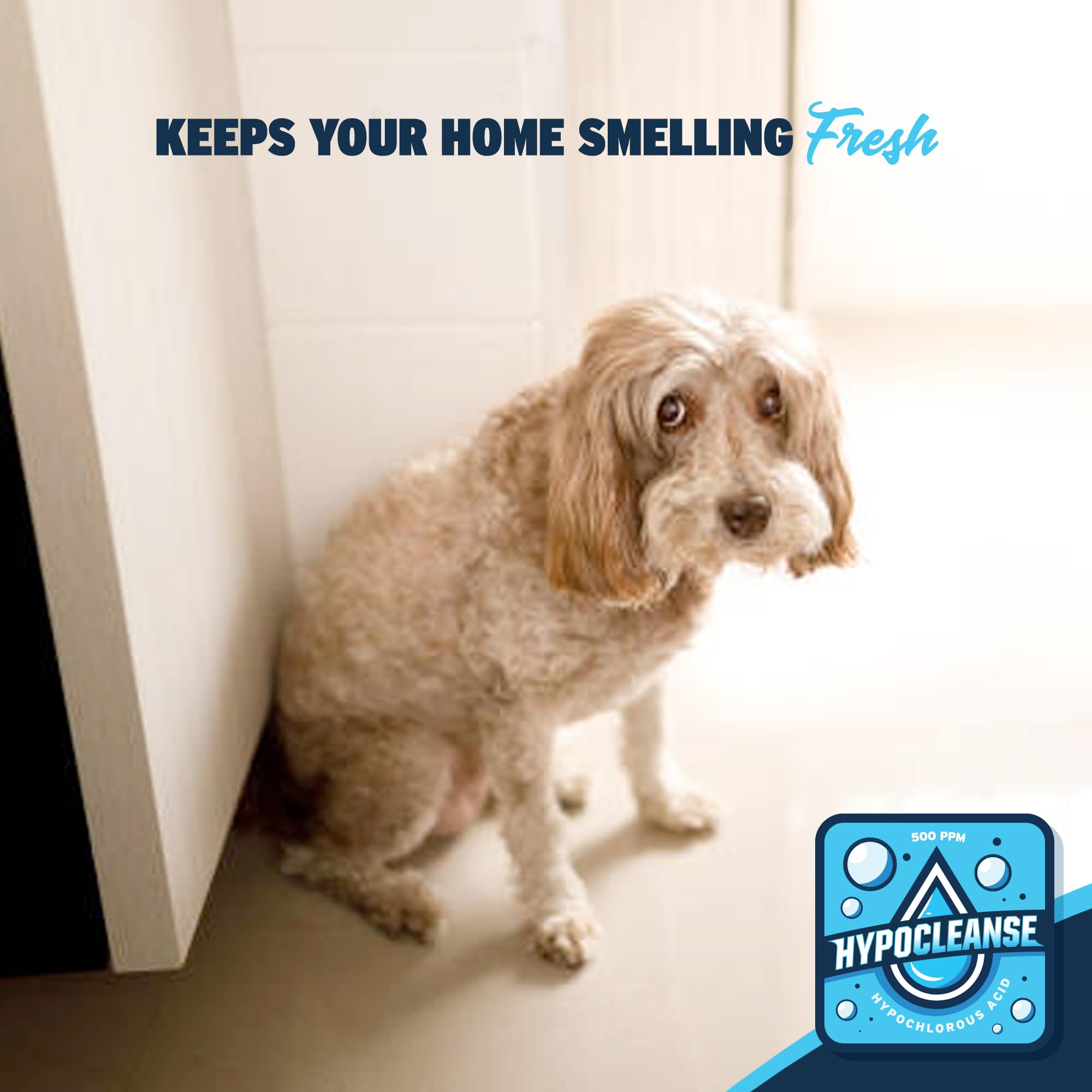 Hypocleanse HOCl bathroom tiles for fresh, deodorized surfaces