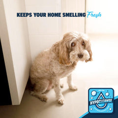 Hypocleanse HOCl bathroom tiles for fresh, deodorized surfaces