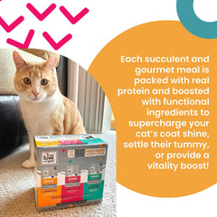 I AND LOVE AND YOU Feed Meow Tummy prebiotics promote easy digestion in meals.