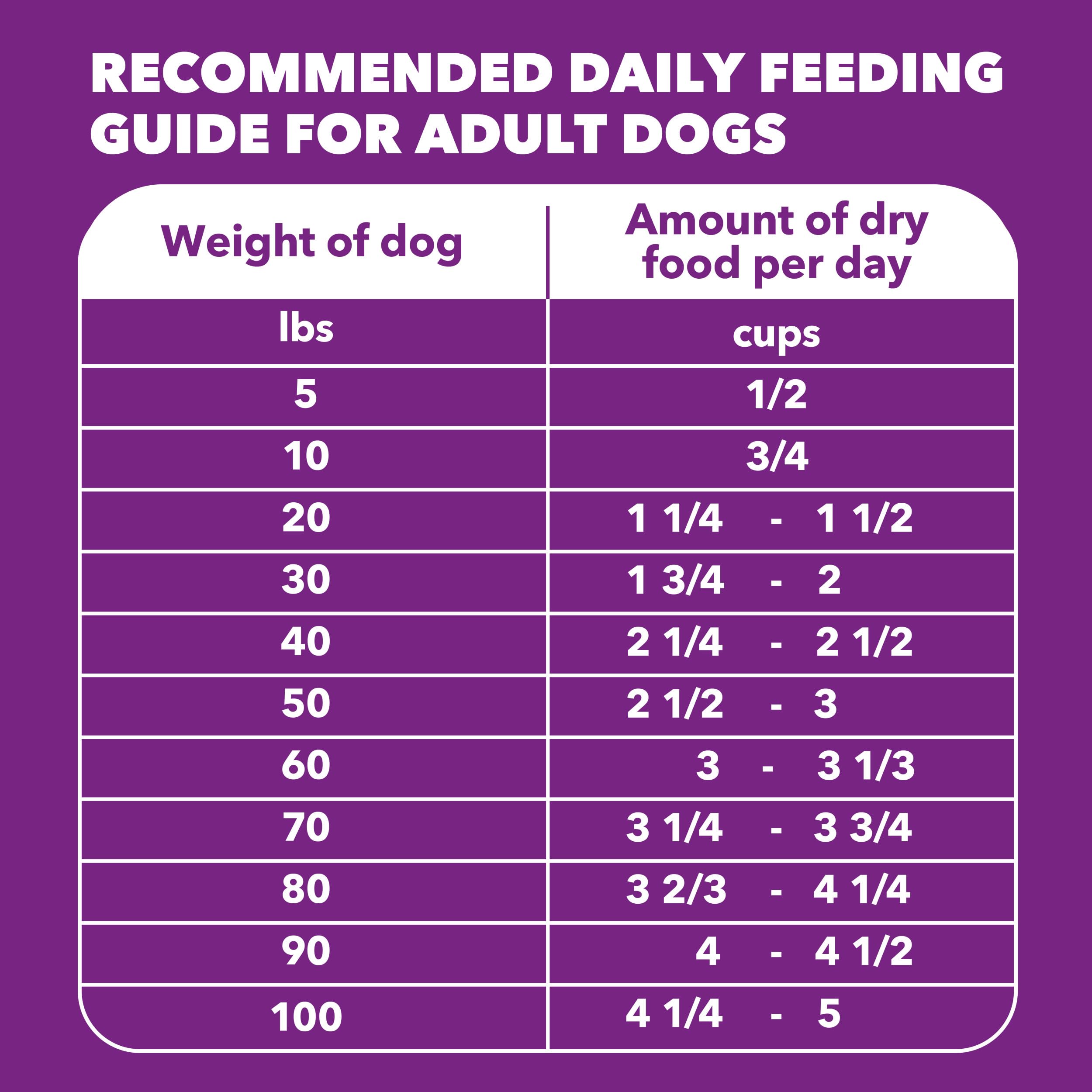 IAMS 13.5-lb bag supports daily feeding routine.