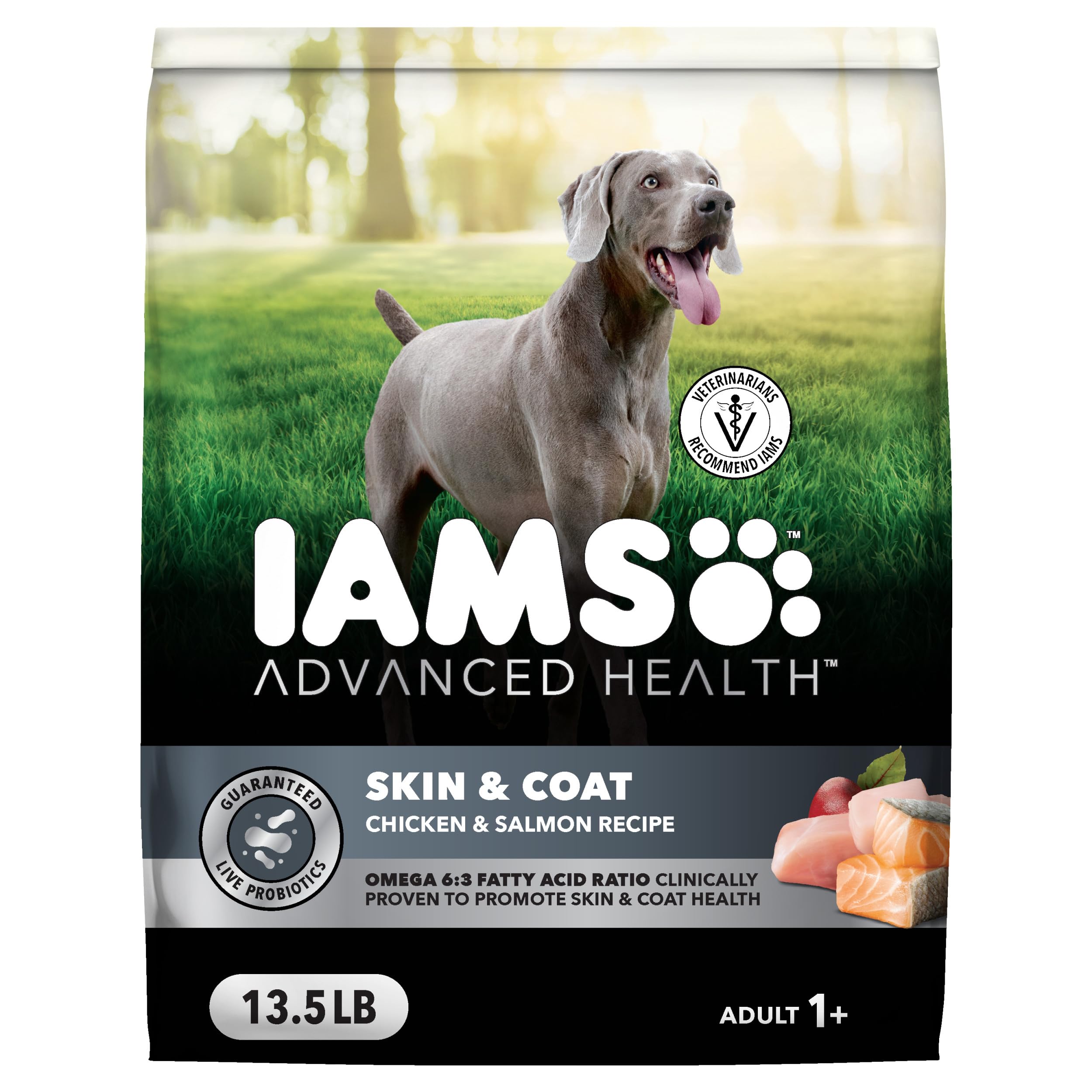 IAMS Advanced Health Skin & Coat kibble in a bowl supports healthy skin and a shiny coat.
