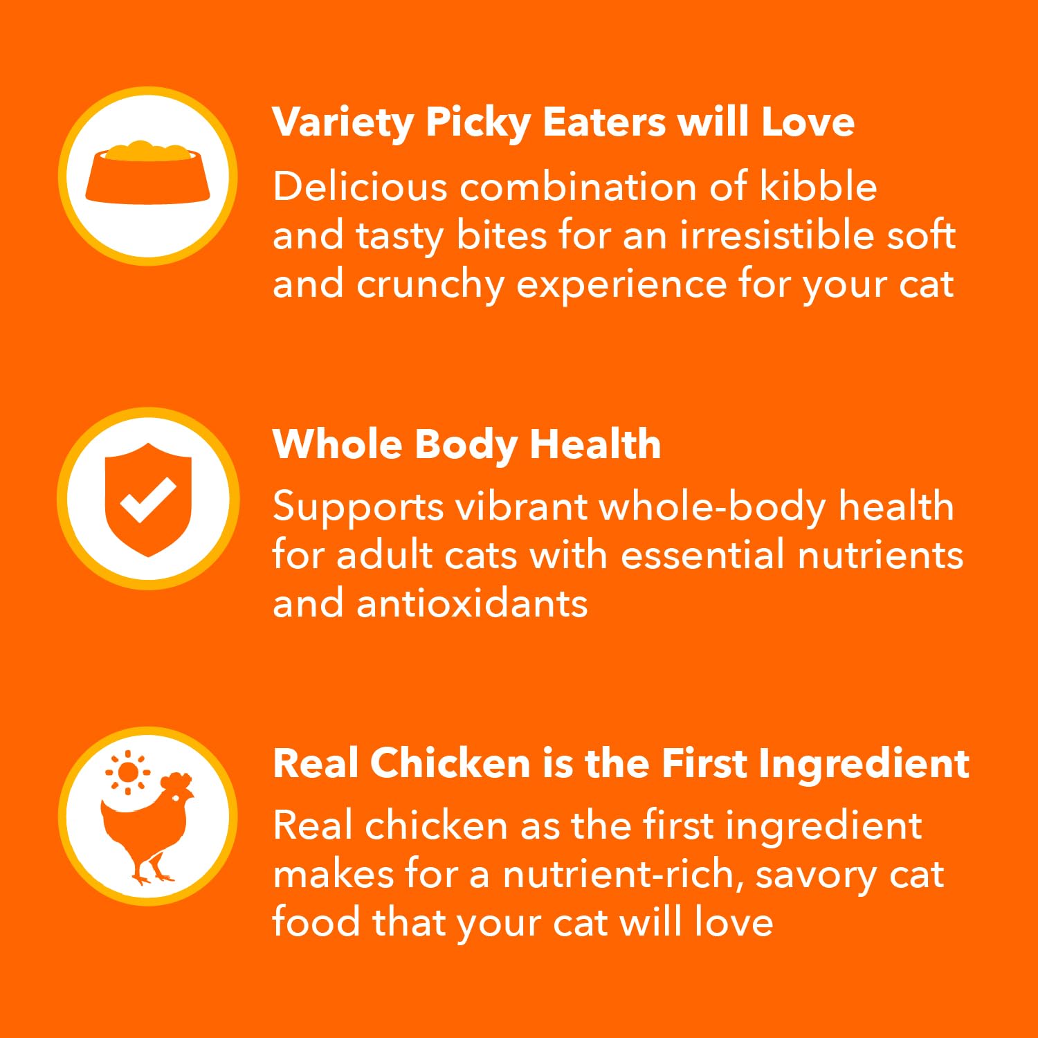 IAMS Healthy Enjoyment cat enjoying dry food during mealtime