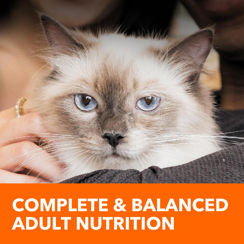 IAMS Healthy Enjoyment nutrition facts panel highlighting ingredients and protein