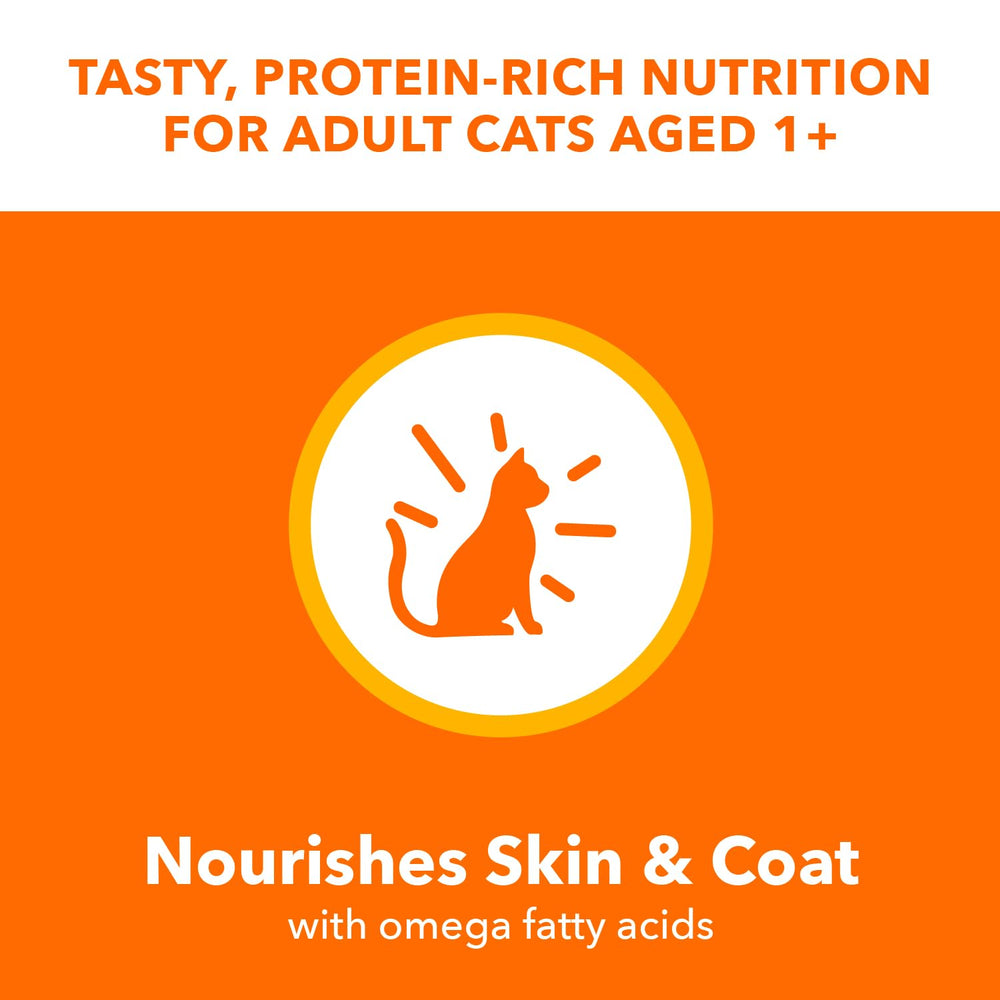 IAMS Perfect Portions Vitamin E helps support immune health for indoor cats.