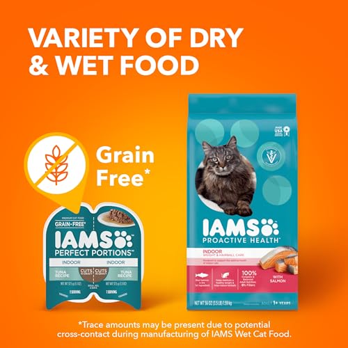 Indoor cat feeding habit support with portion-control trays