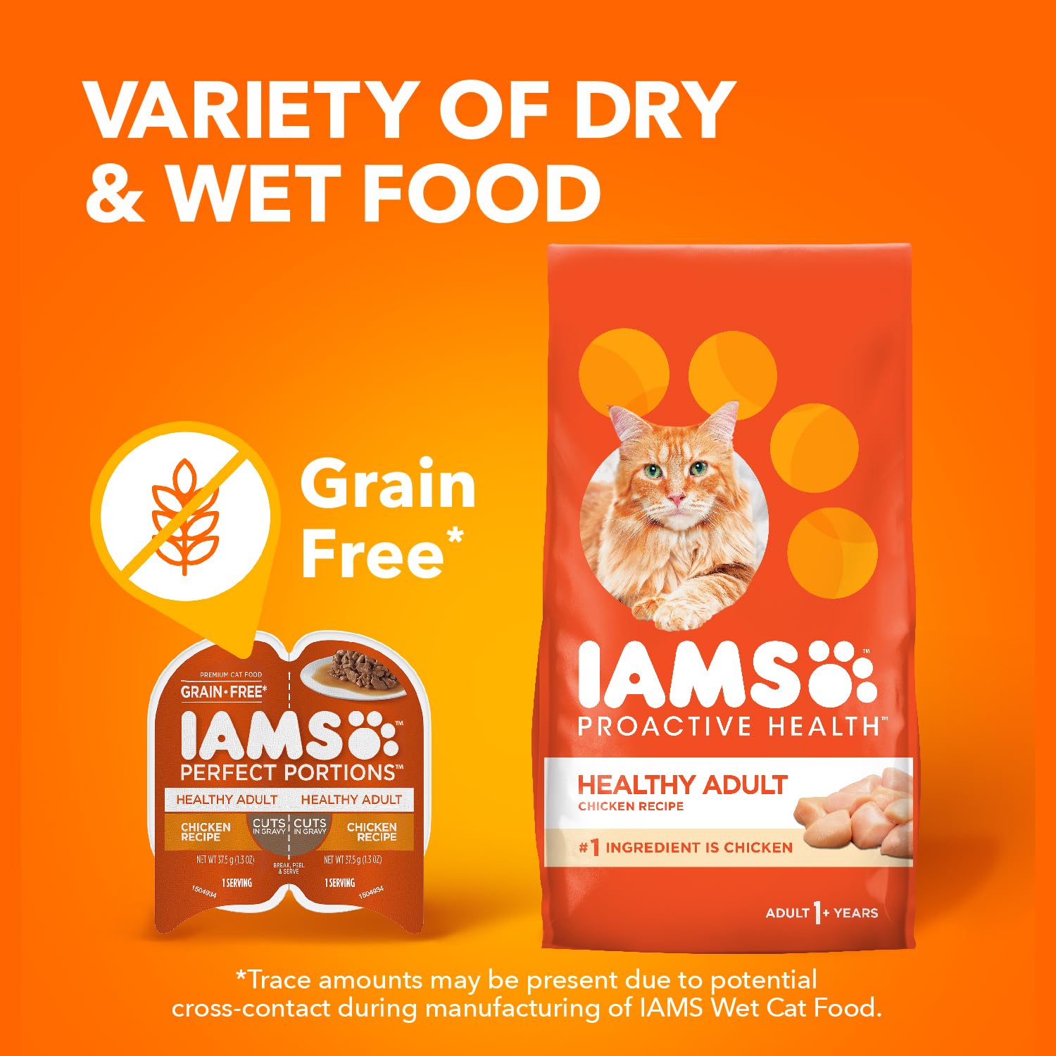 Indoor cat enjoying IAMS Perfect Portions meal at home.