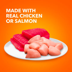 IAMS Perfect Portions salmon-pate served in a bowl showing portion control
