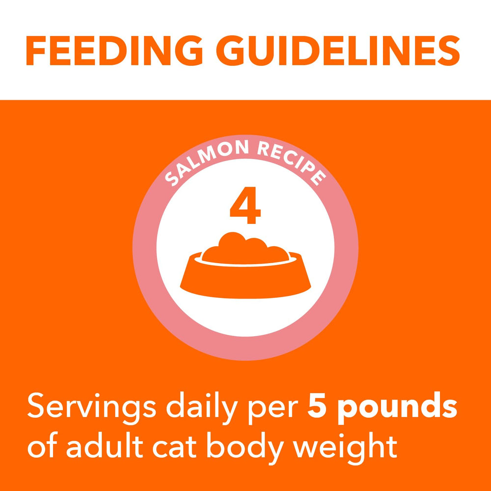 Serving IAMS Perfect Portions as a convenient meal for an indoor cat