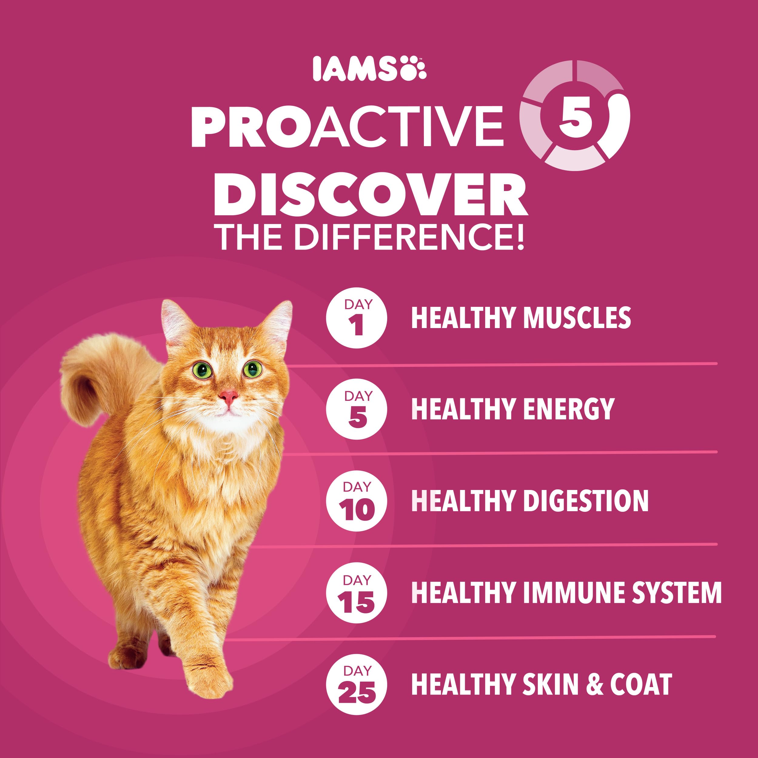 IAMS Proactive Health antioxidants support immune health in indoor cats