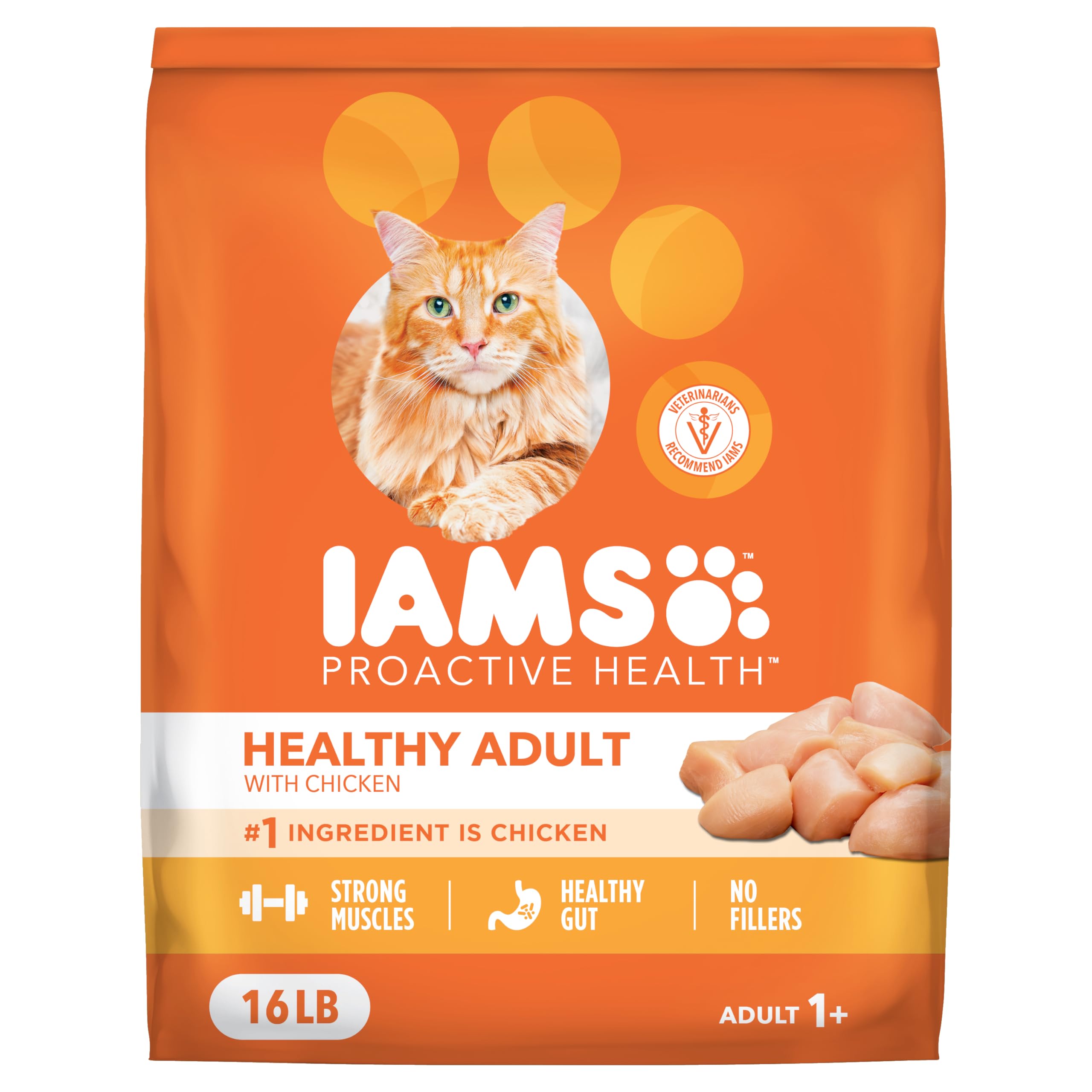 IAMS Proactive Health dry cat food bag prepared for convenient daily feeding.