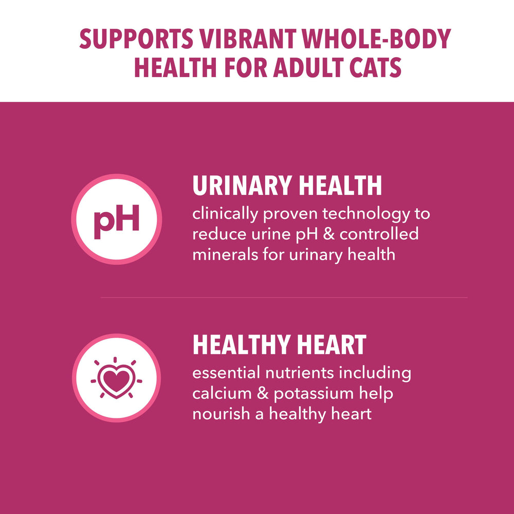IAMS Proactive Health kibble close-up highlights crunchy texture for meals