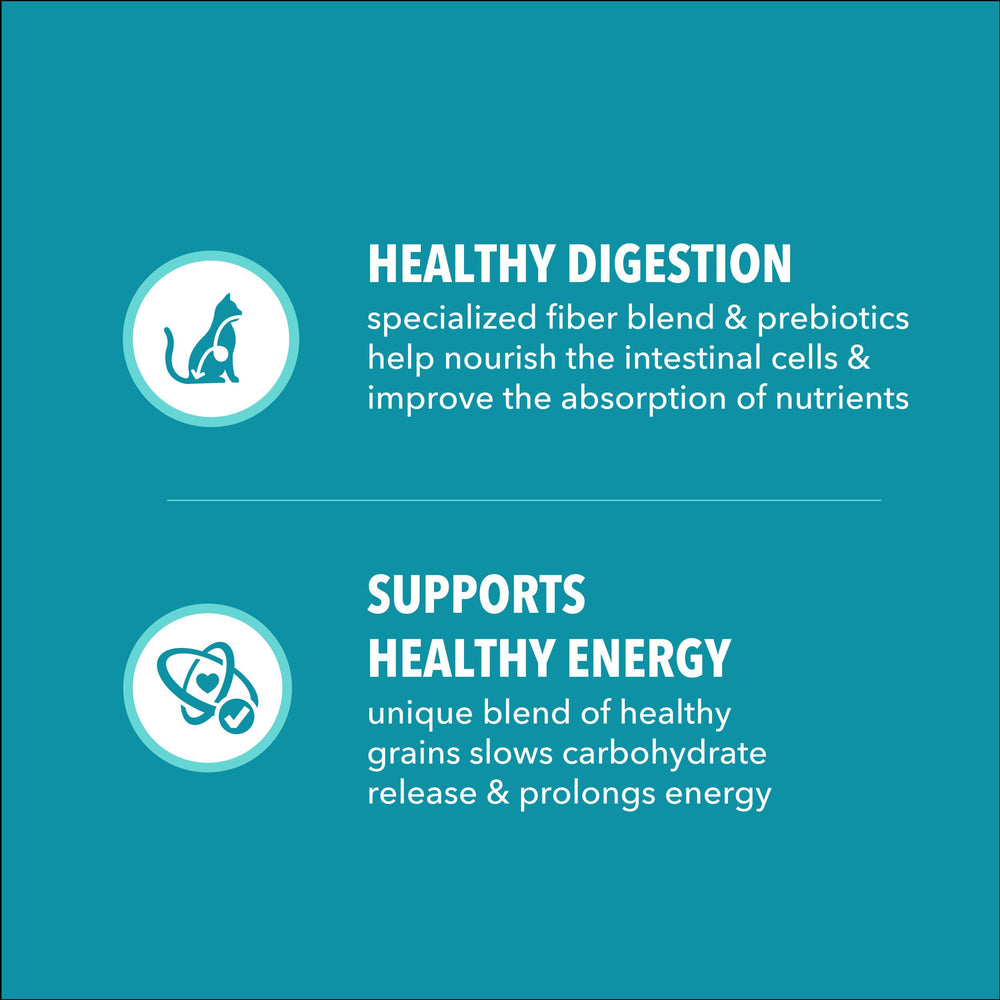 IAMS Proactive Health beet pulp fiber blend aids digestion and hairball management
