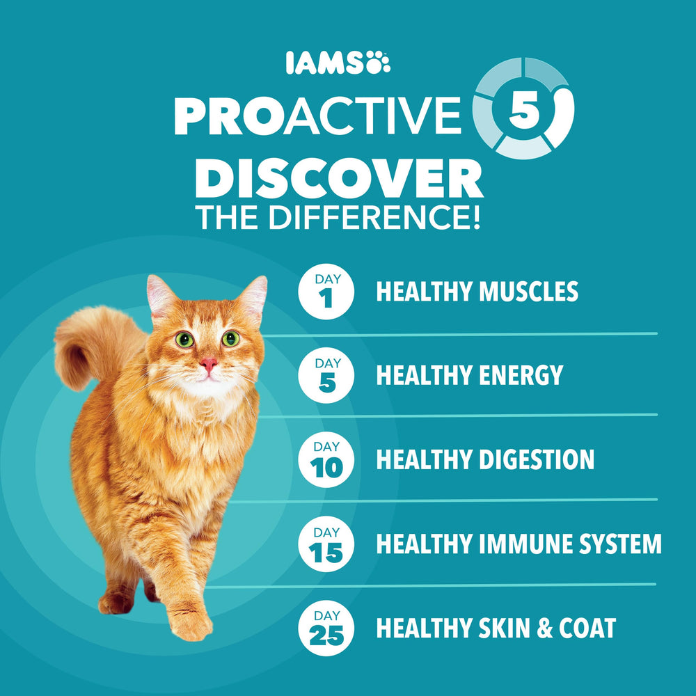 IAMS Proactive Health Fiber Blend Beet Pulp Closeup for hairball prevention