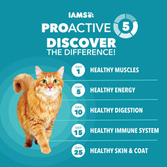 IAMS Proactive Health Fiber Blend Beet Pulp Closeup for hairball prevention