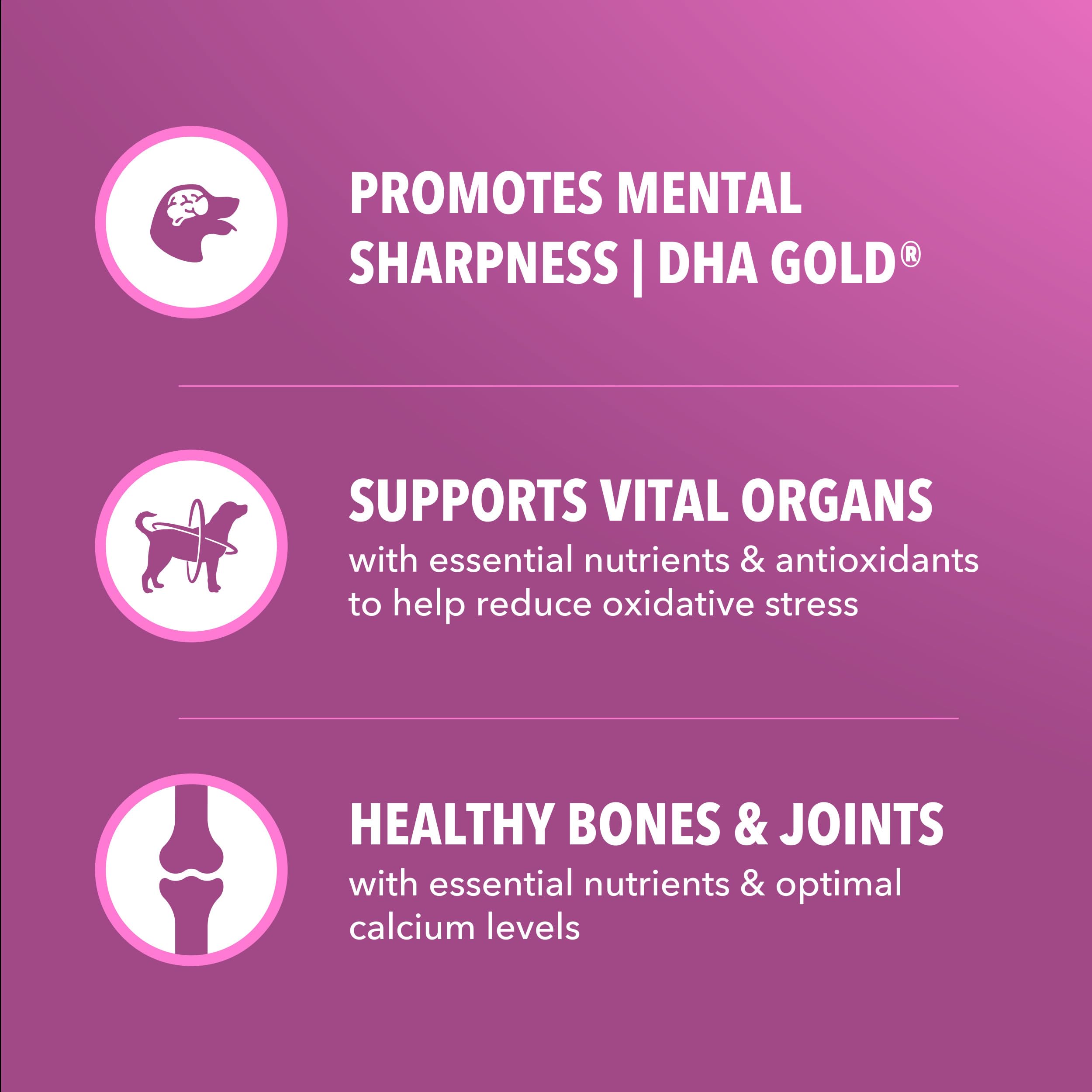 IAMS Proactive Health Healthy Aging antioxydants: vitamine E et bêta-carotène.