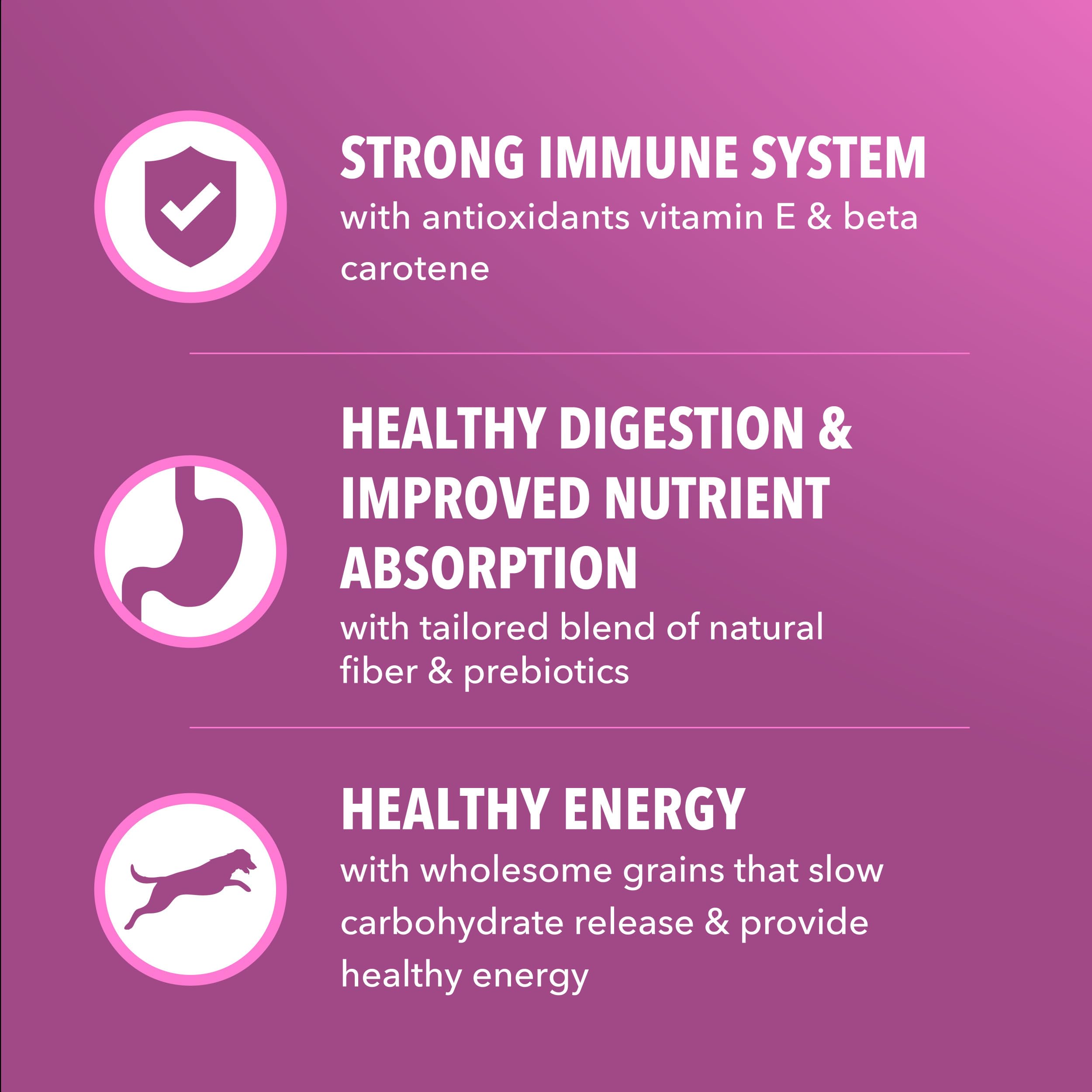 IAMS Proactive Health Healthy Aging DHA Gold: soutien mental et visuel.