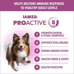 IAMS Proactive Health Healthy Aging grains entiers: énergie durable.