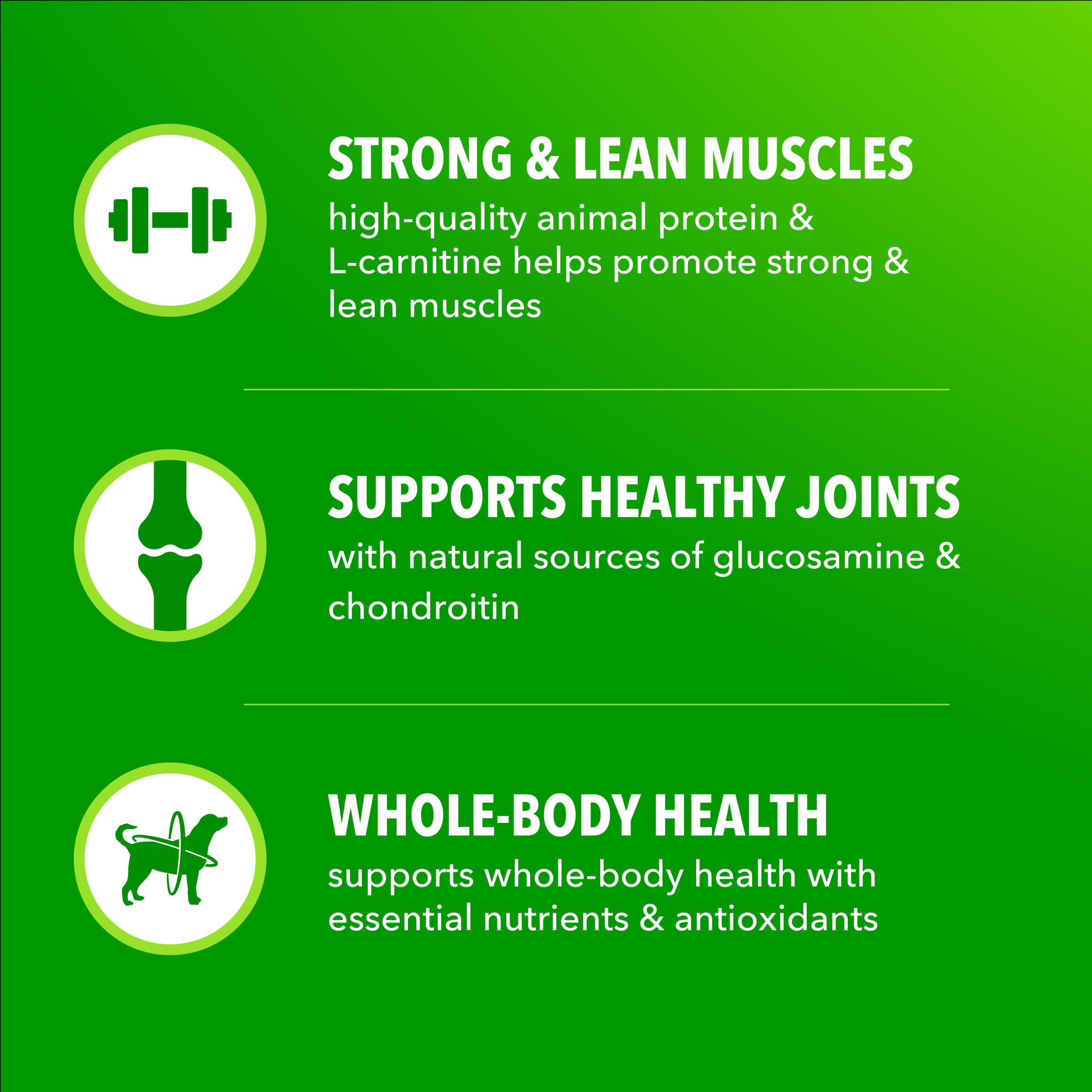 IAMS Proactive Health High Protein bag opened, wholesome grains visible