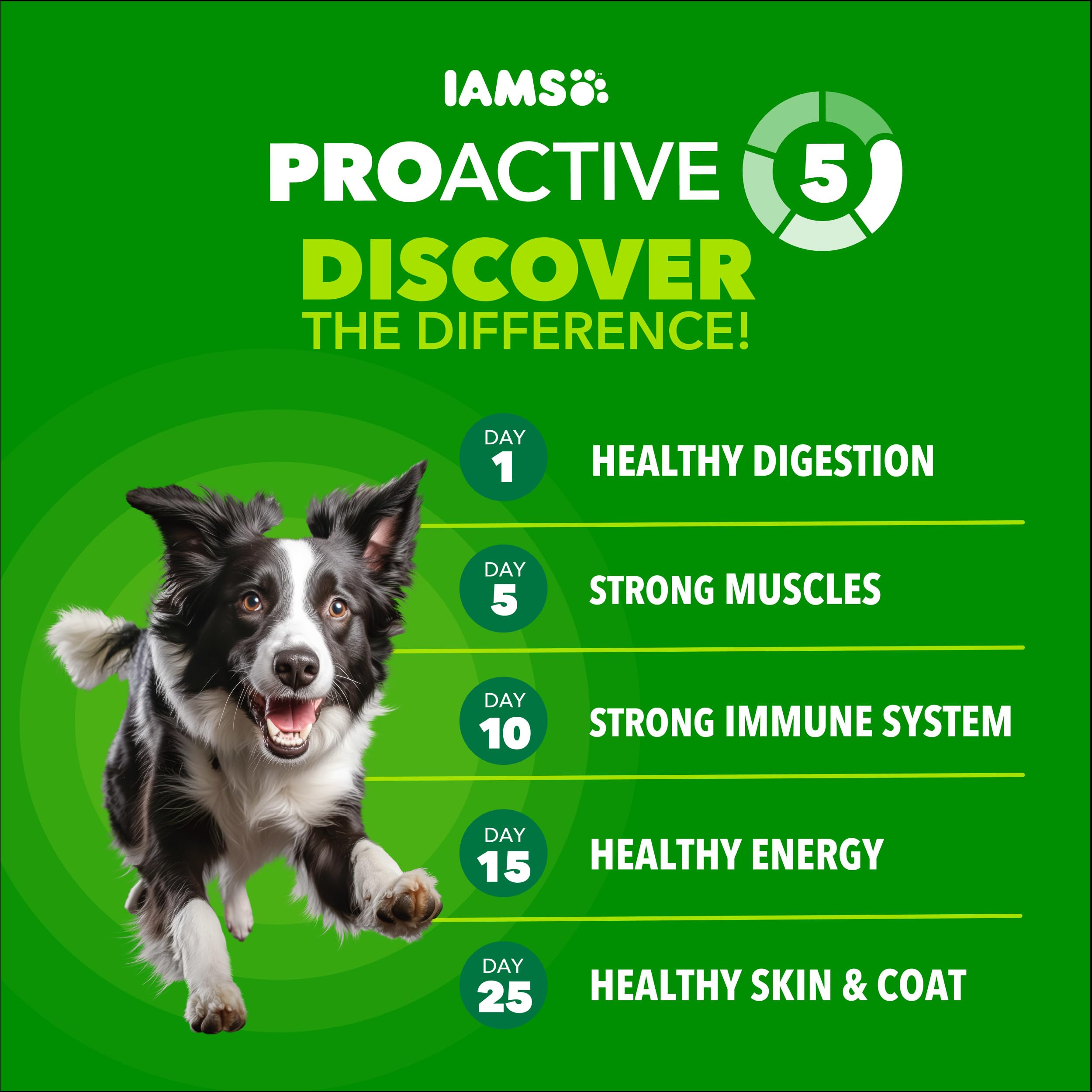 IAMS Proactive Health High Protein label and nutrition info closeup