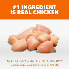 Close-up of IAMS Proactive Health kibble highlighting real chicken protein.