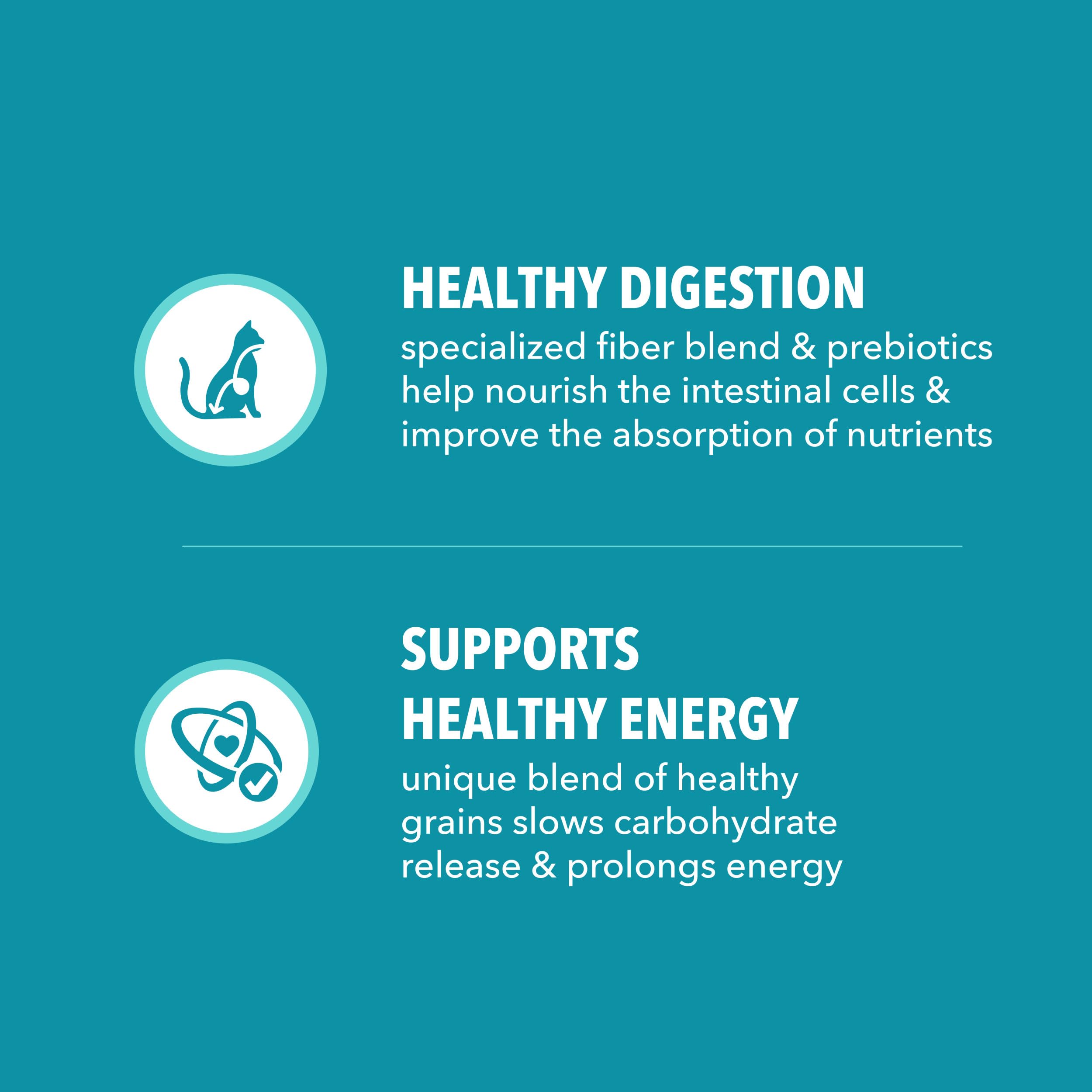 IAMS Proactive Health L-Carnitine Ingredient highlight supports metabolism