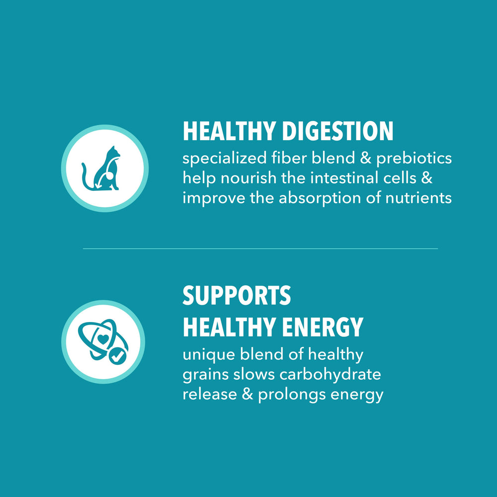 IAMS Proactive Health L-Carnitine Ingredient highlight supports metabolism