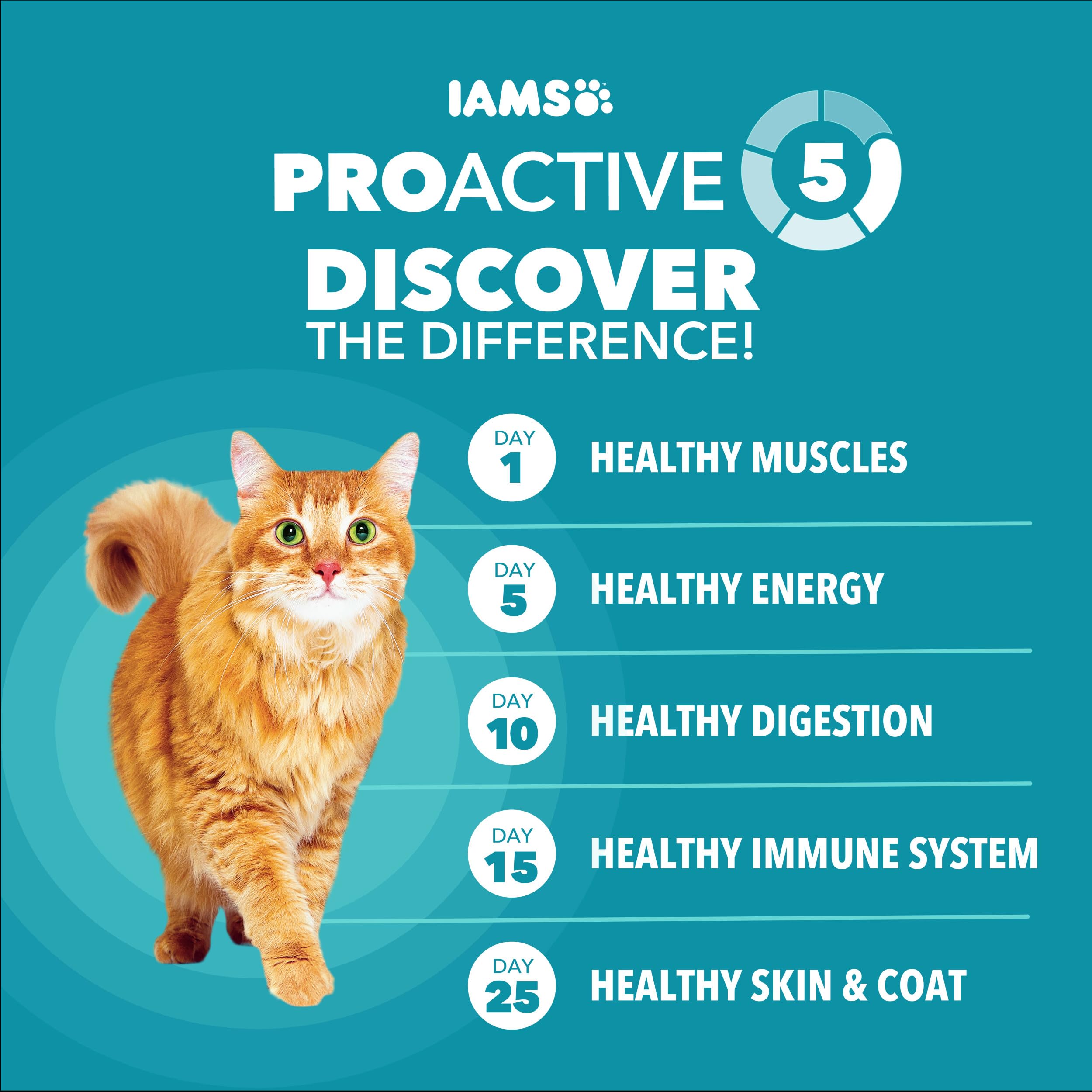 IAMS Proactive Health L-Carnitine boosts healthy metabolism and activity