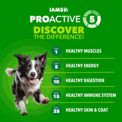IAMS Proactive Health large-breed kibble close-up emphasizes appropriately sized bites for bigger mouths
