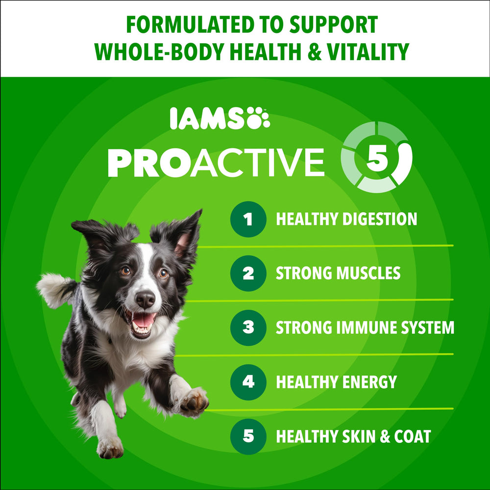 IAMS Proactive Health Minichunks, bol chien, soutien digestion grâce fibres et prébiotiques