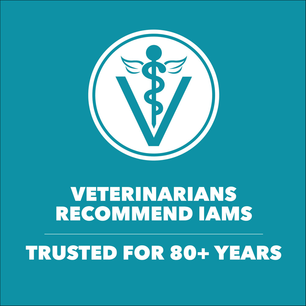 IAMS Proactive Health prebiotic fiber nourishes intestinal health and nutrient absorption