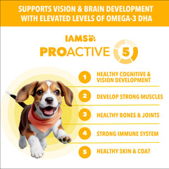 IAMS Proactive Health chiot croquettes soutenant les os et articulations.