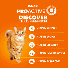 IAMS Proactive Health real chicken ingredient supporting healthy muscles.