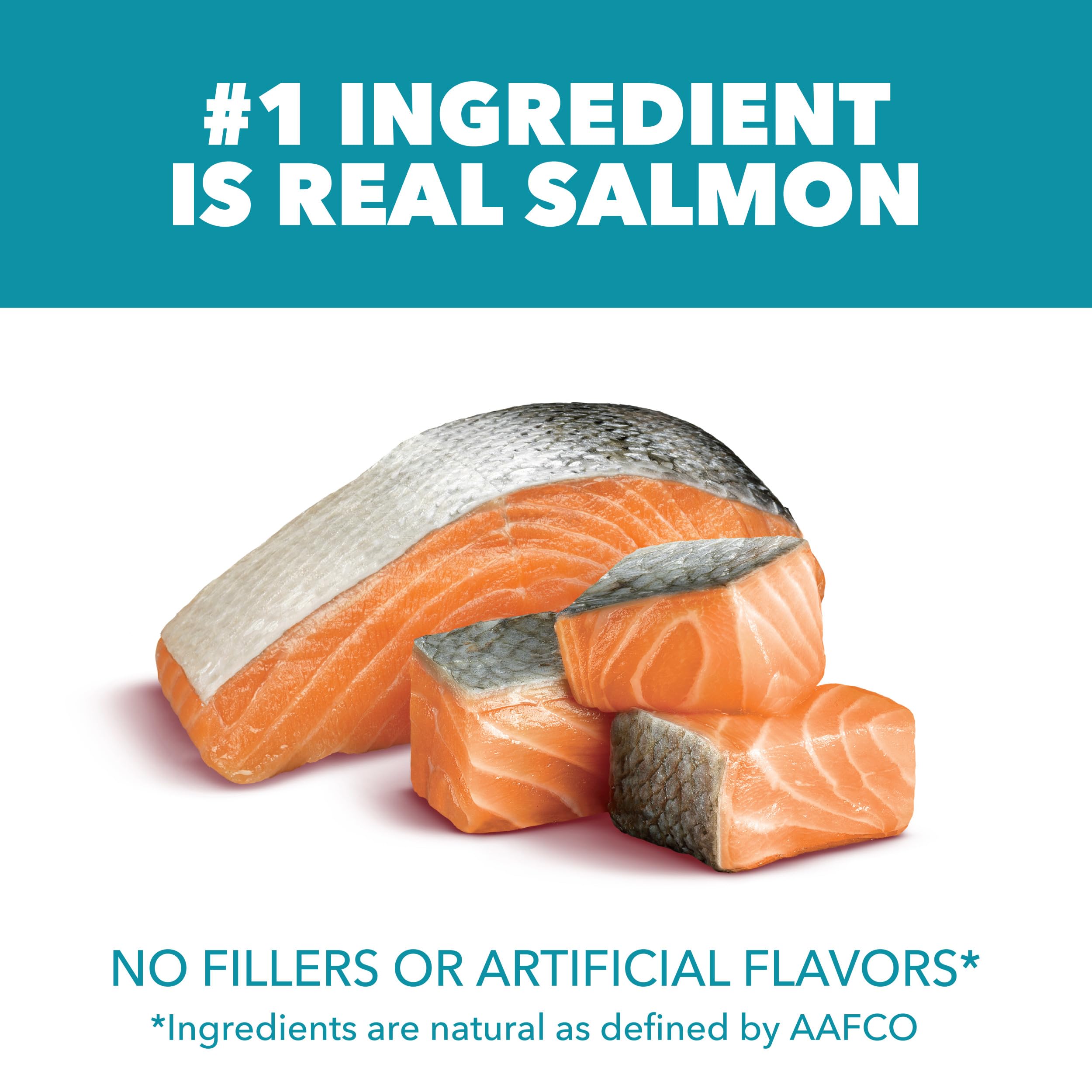 IAMS Proactive Health with salmon first ingredient supports tasty, protein-rich meals.