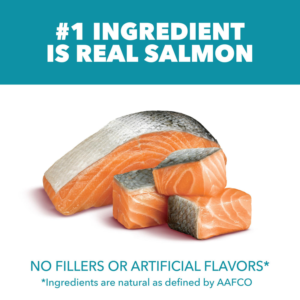 IAMS Proactive Health Salmon Kibble Closeup highlights real salmon protein