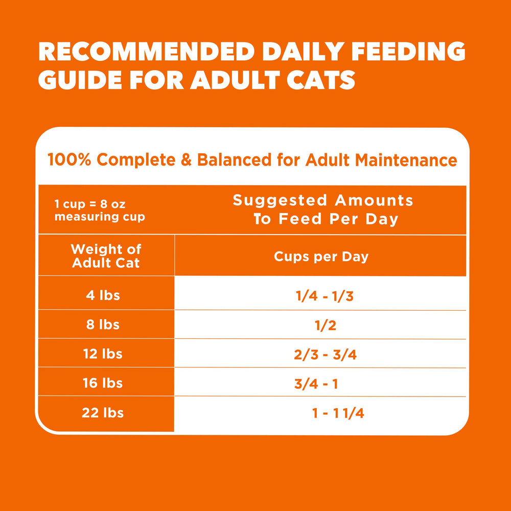 IAMS Proactive Health easy mixing with water for serving.