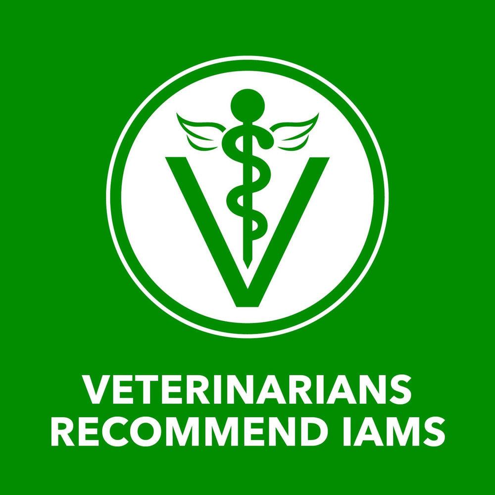 Complete and balanced nutrition for adult dogs with IAMS Proactive Health.