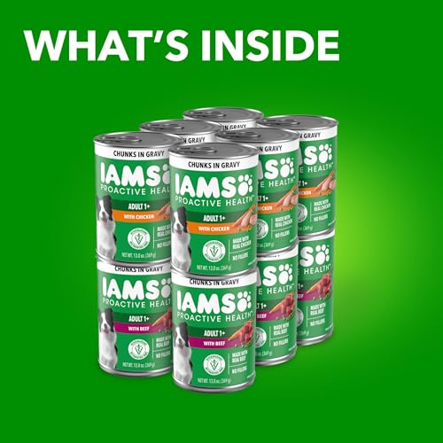 IAMS Proactive Health wet dog food with beef chunks in gravy, flavorful and hearty.