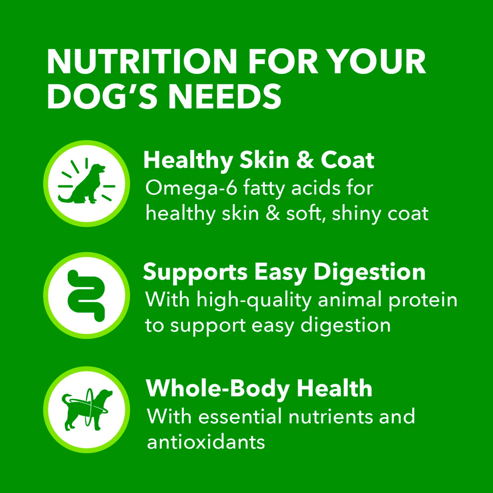 Serving IAMS Proactive Health with gravy in a bowl for a satisfying meal.