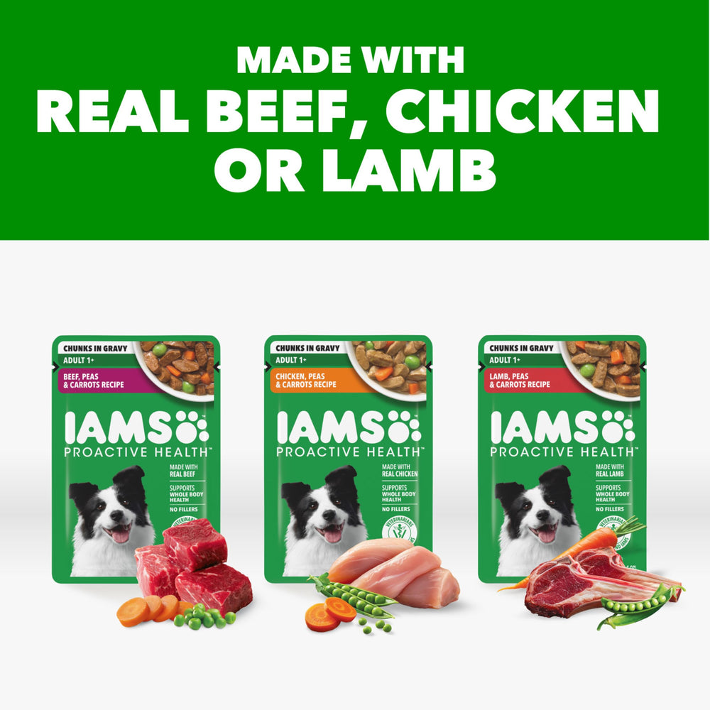 IAMS Proactive Health lamb pouch—alternative protein option.