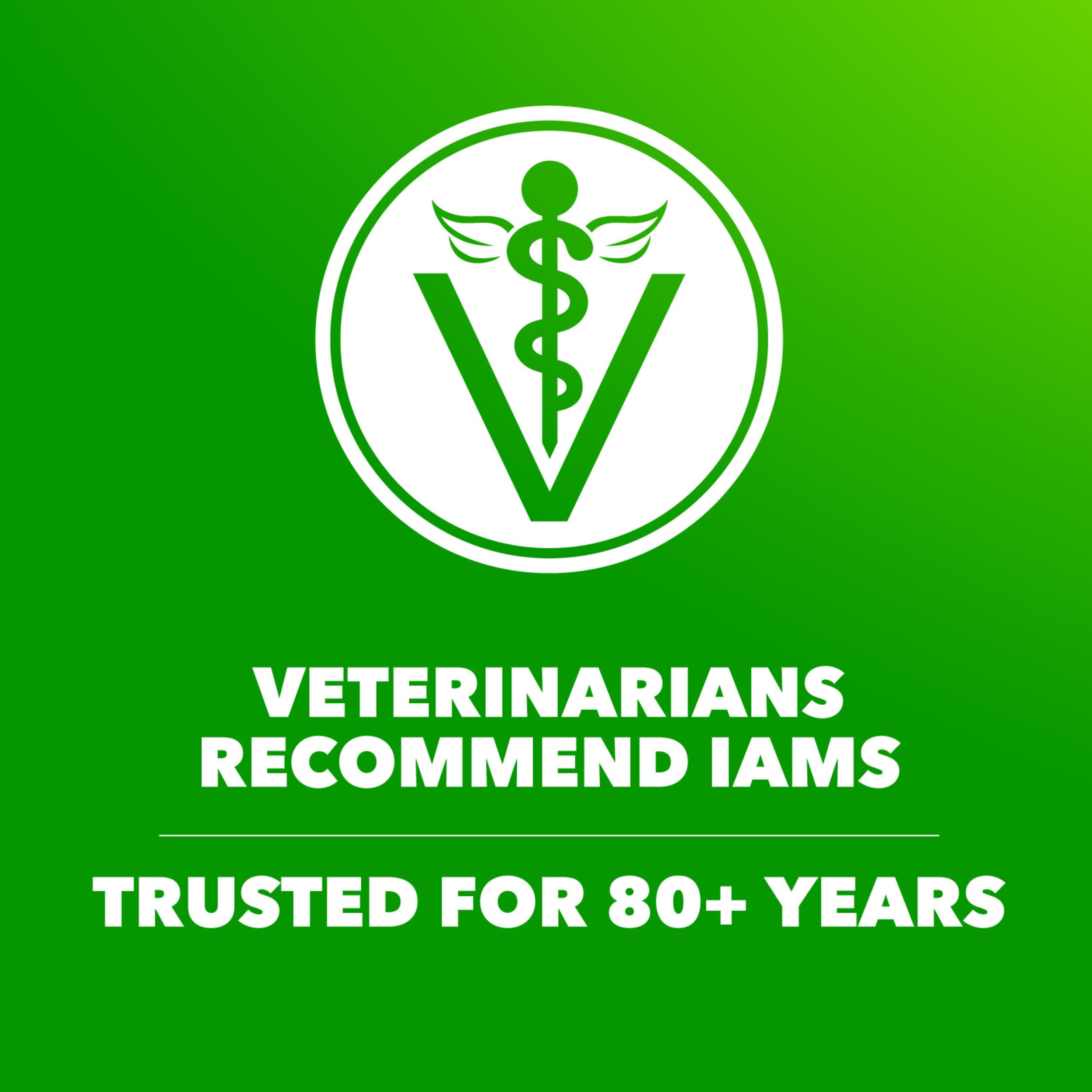 IAMS Proactive Health label highlights no artificial preservatives.