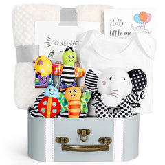 iaovueby baby gift set features black and white toys to support newborn visual exploration.